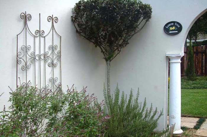 garden4
